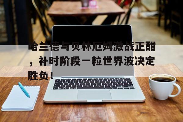 哈兰德与贝林厄姆激战正酣，补时阶段一粒世界波决定胜负！